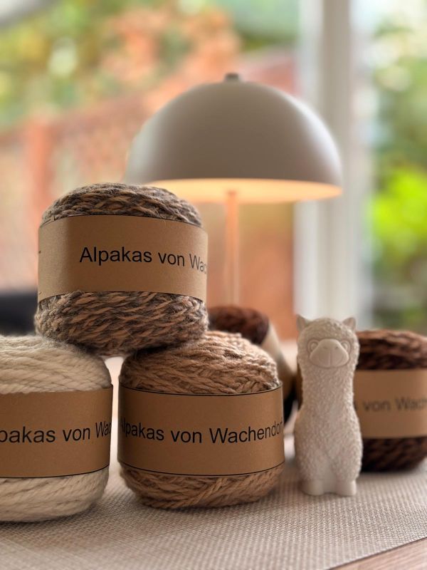 Alpakagarn von Hof Harries